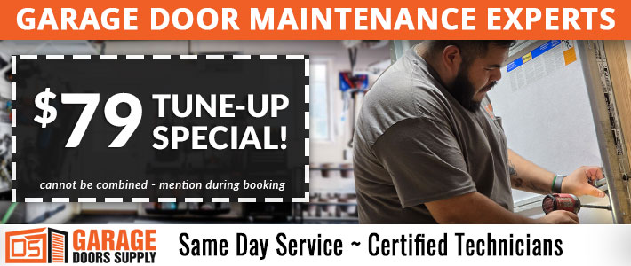 garage door maintenance in adamsville